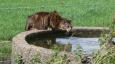 enge poes